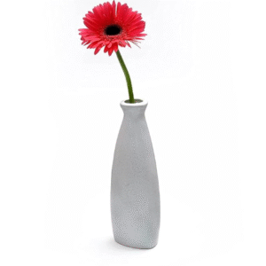 Flower Milk Jug/Vase